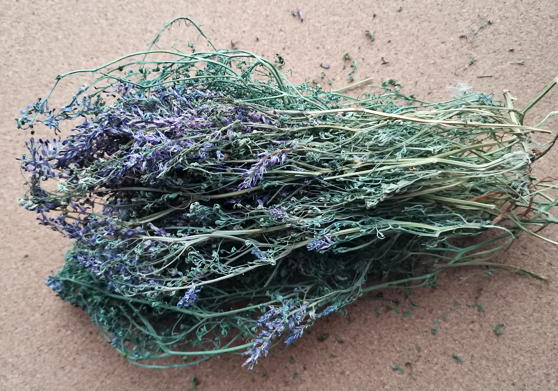 Дымянка лекарственная (Fumaria officinalis)